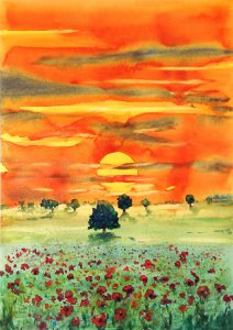 423-2434 47x33 Tramonto con papaveri, acquarello